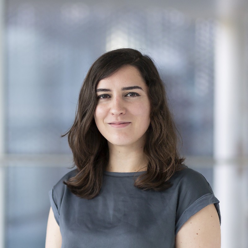 Laura García-Sardiña
